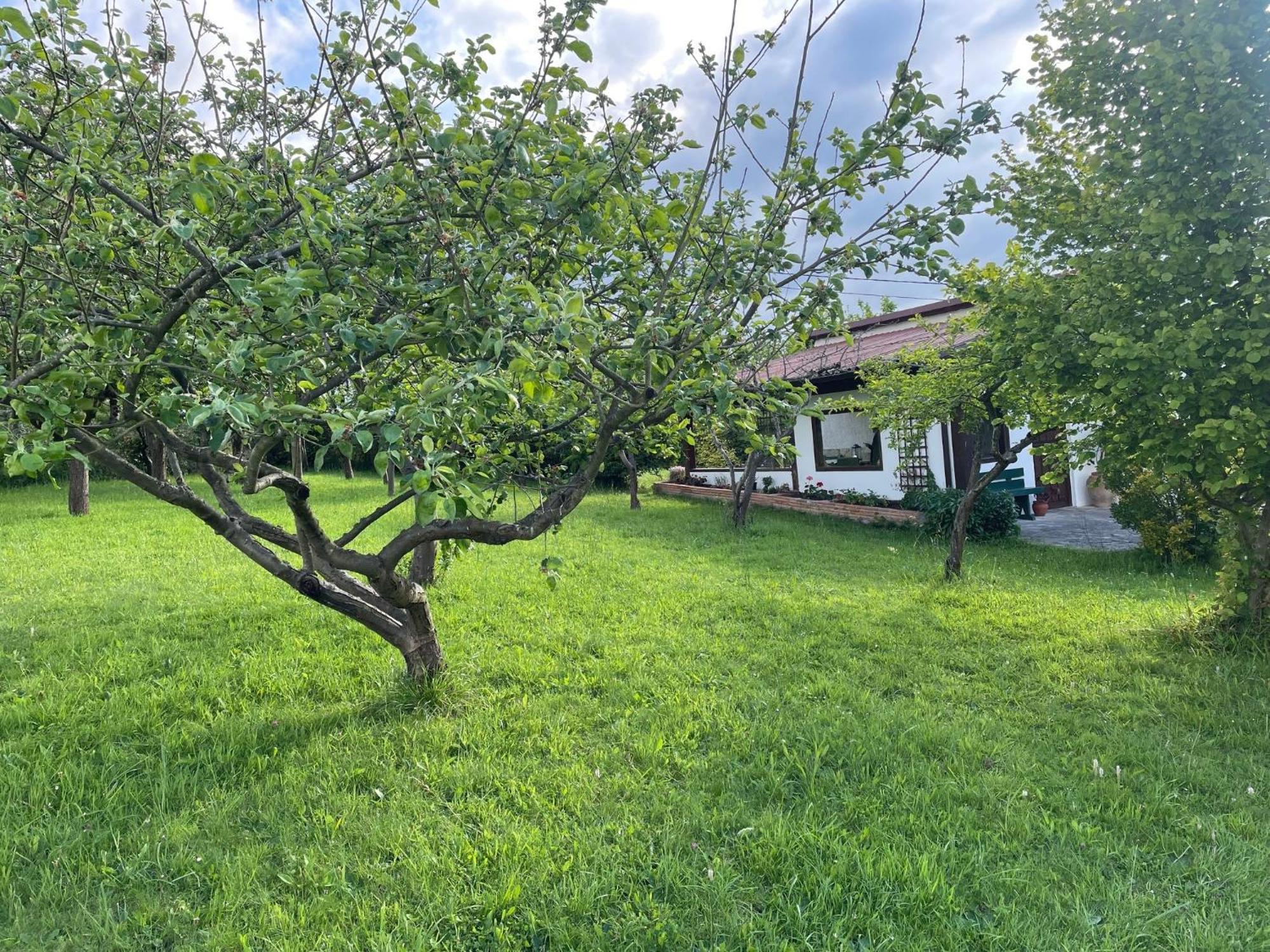 הוילה אוביידו Casa Benjamin מראה חיצוני תמונה