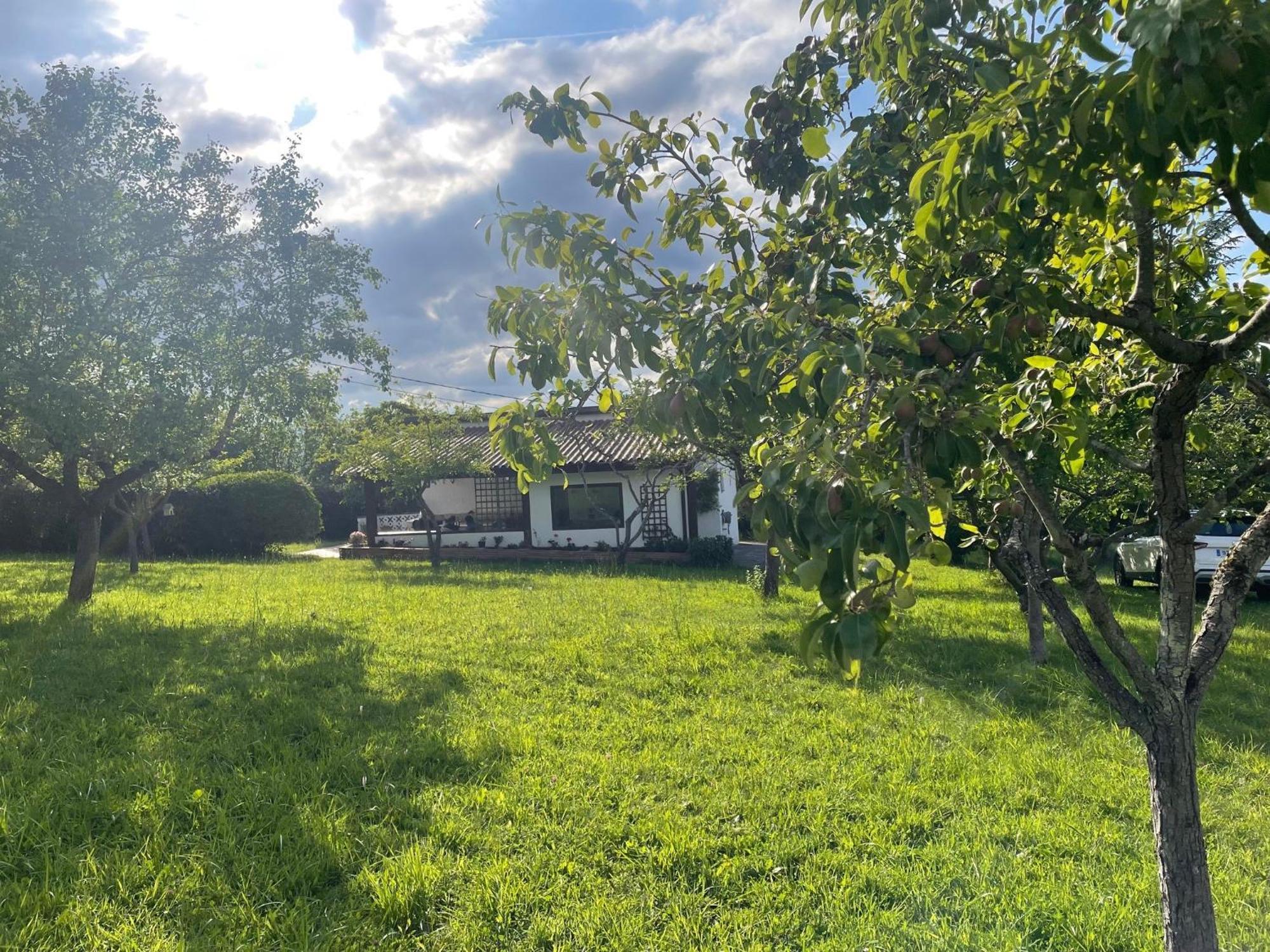 הוילה אוביידו Casa Benjamin מראה חיצוני תמונה